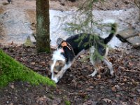 Wandertag 2020 - 016
